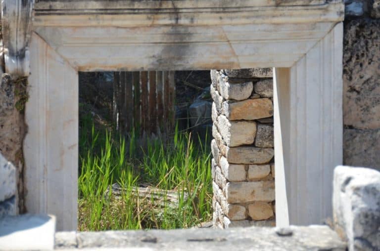 Turkey, Afrodisias – grass, August 2012