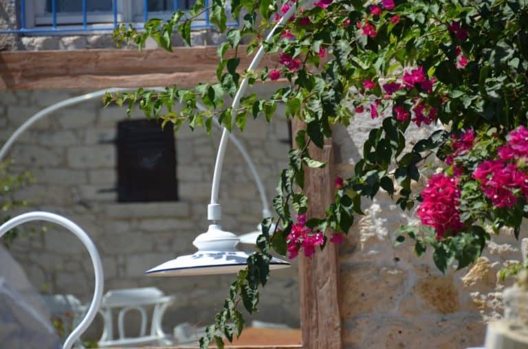 turkey-alacati (11) (Cesme)
