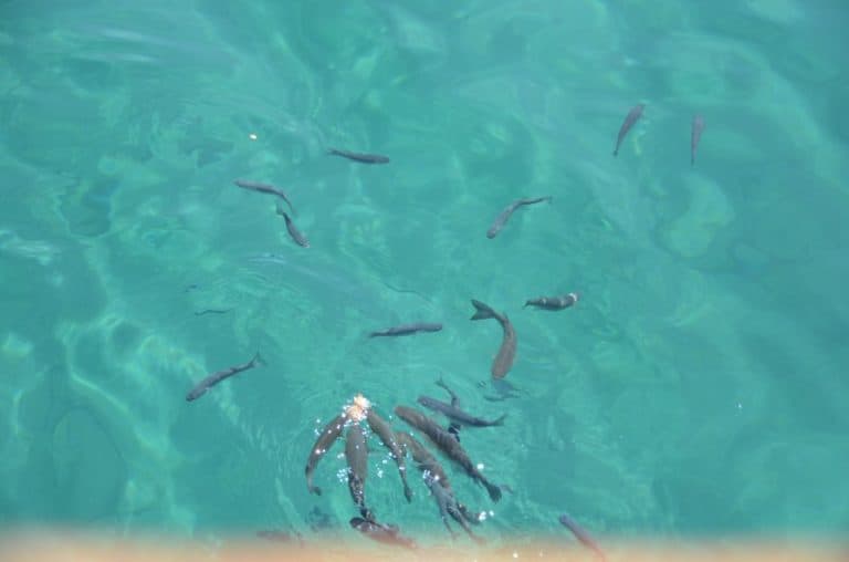 turkey-cesme (1) (Cesme)
