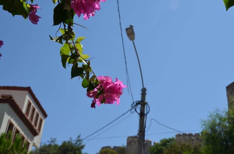 turkey-cesme (7) (Cesme)