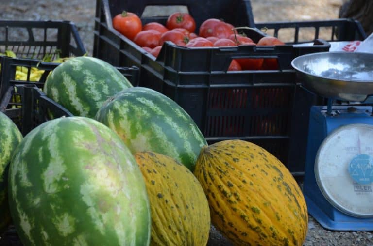 Turkey, Gallipoli – water melon, Aug.2012
