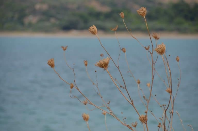 Turkey, Gallipoli – sea, Aug.2012