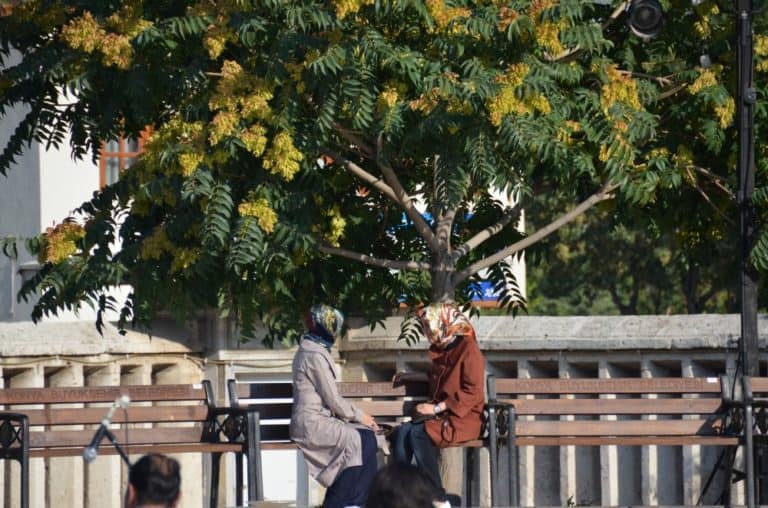 turkey-konya (9) (Konya)