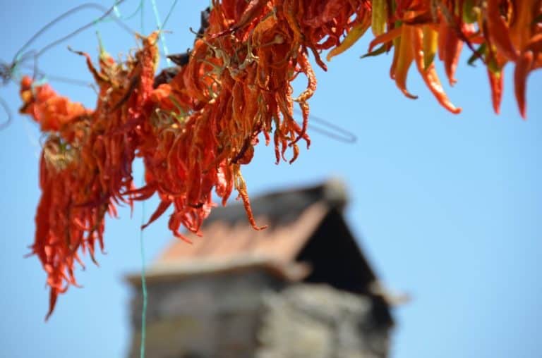 Turkey, Sirince – chili, August 2012