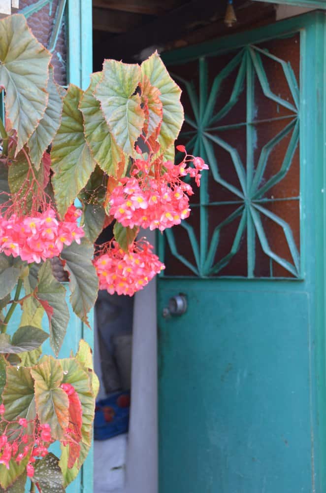Turkey, Sirince – door, August 2012
