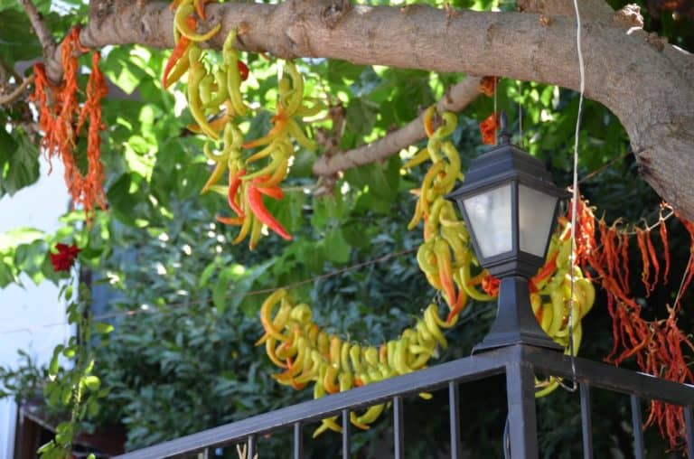 Turkey, Sirince – veranda, August 2012