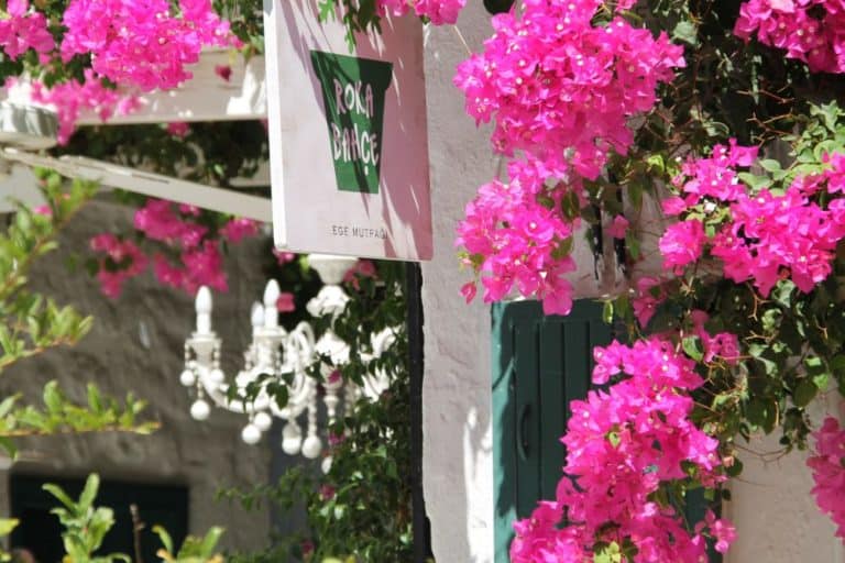turkey_cesme (6) (Cesme)