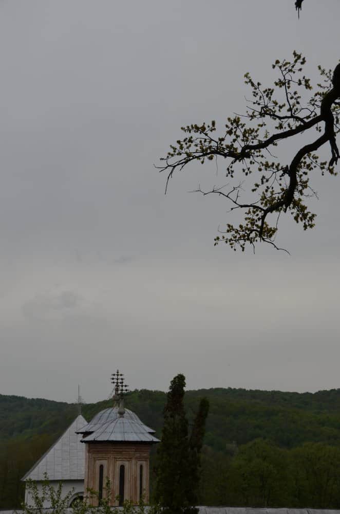 Romania, Dintr un Lemn – cloudy day, Apr.2014 (Valcea)