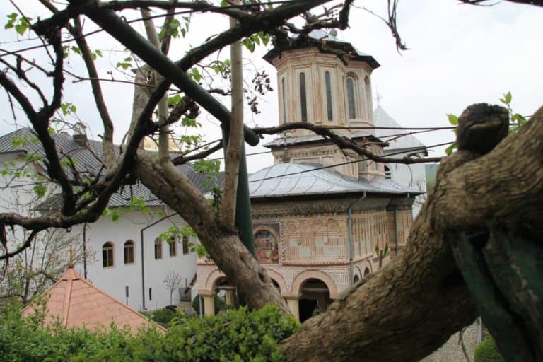 Romania, Dintr un Lemn – behind branches, Apr.2014 (Valcea)