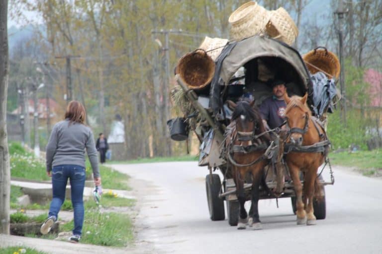 Romania, Dintr un Lemn – wagon of Gipsy, Apr.2014 (Valcea)
