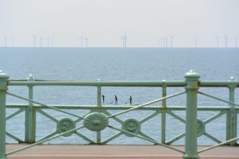 Brighton 2021 (20) (Brighton)