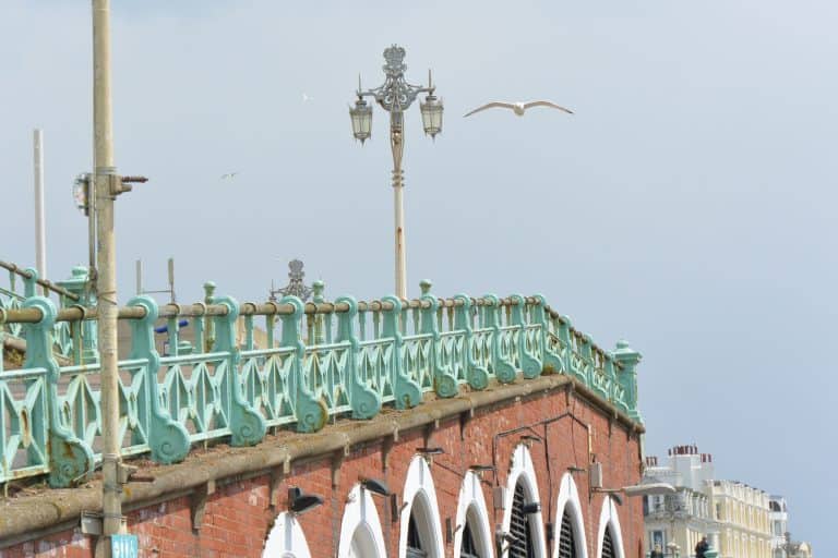 Brighton 2021 (25) (Brighton)