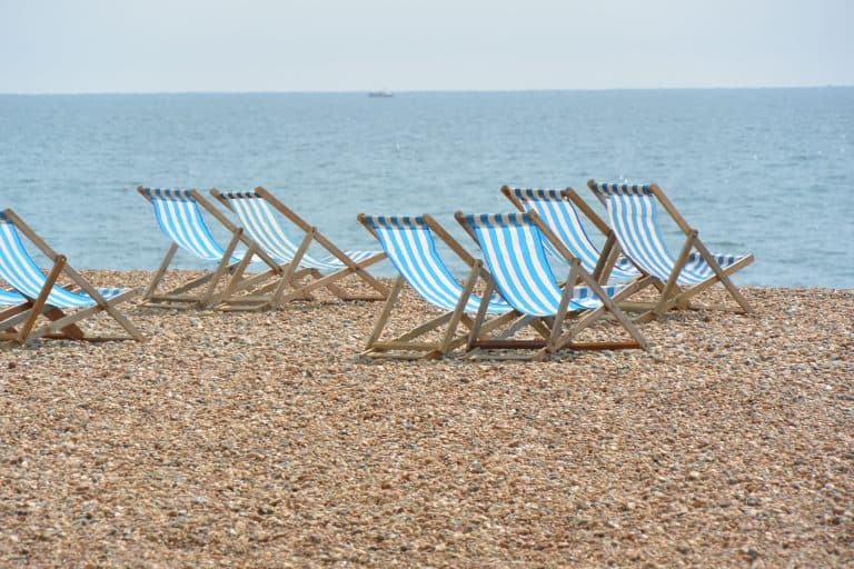 Brighton 2021 (26) (Brighton)
