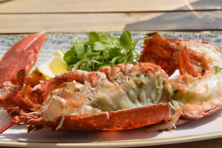 Brighton-restaurante-plato-langosta-pescado-Inglaterra
