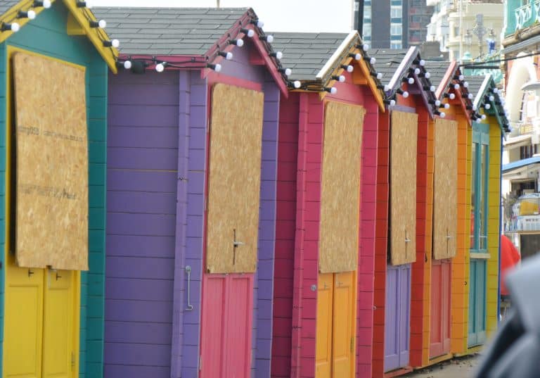 Brighton 2021 (39) (Brighton)