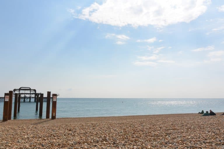Brighton 2021 (47) (Brighton)