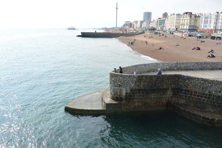 Brighton 2021 (61) (Brighton)