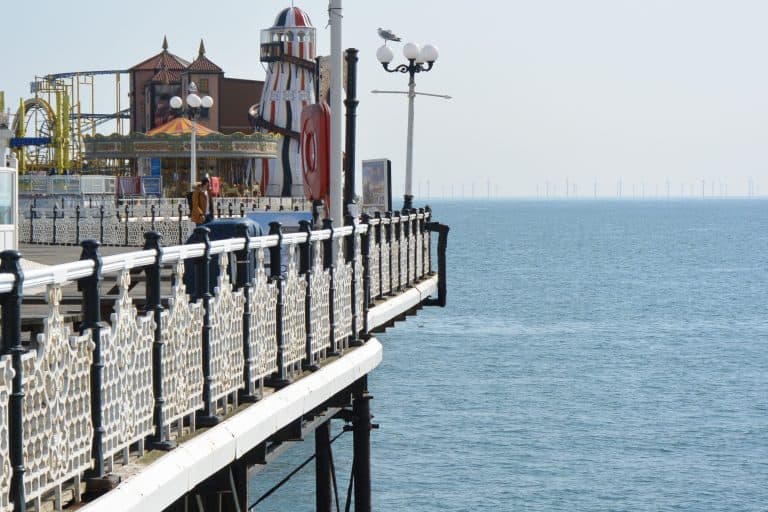 Brighton 2021 (63) (Brighton)