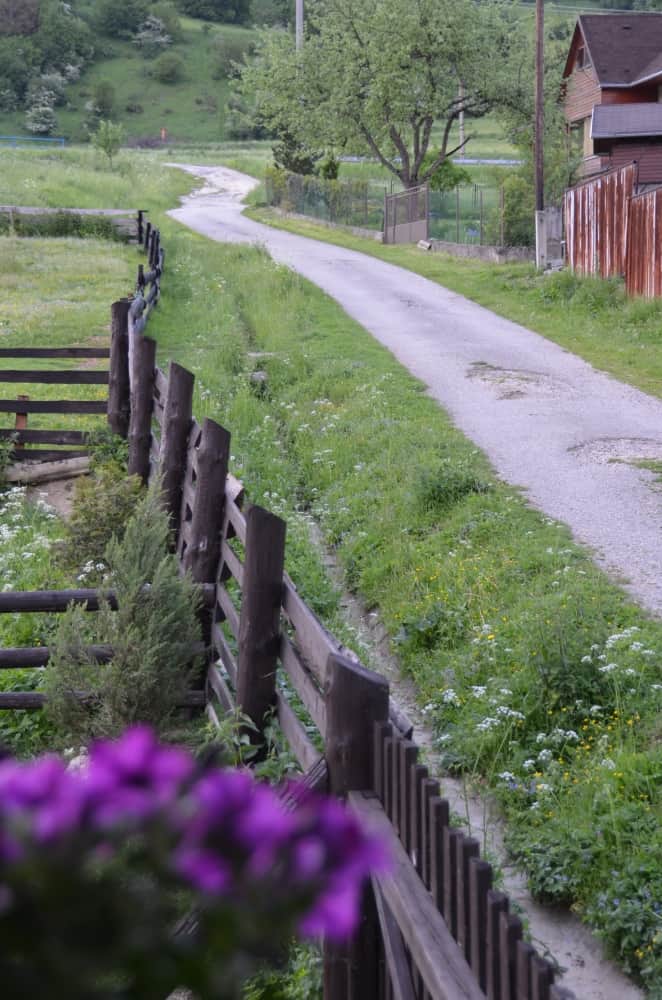 road, May2016 (Cicmany)