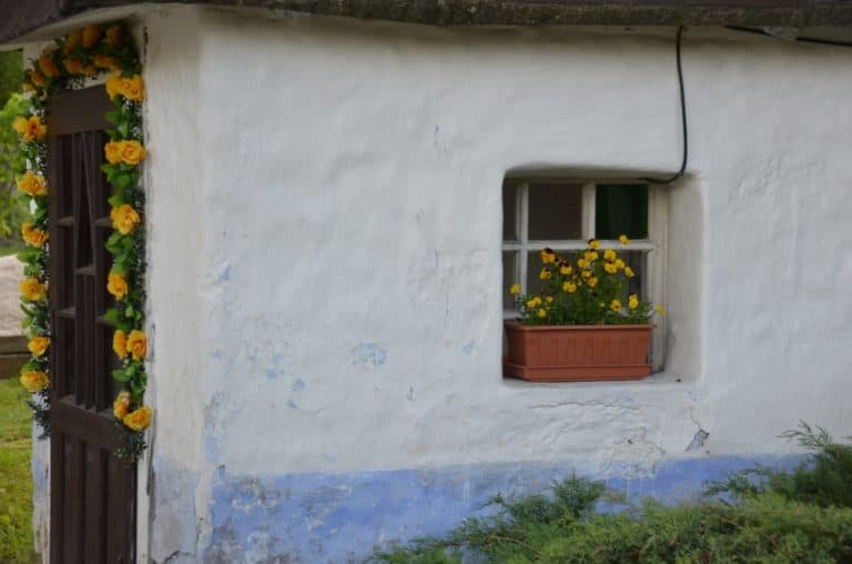 house with yellow flowers, May2016 (Cicmany)