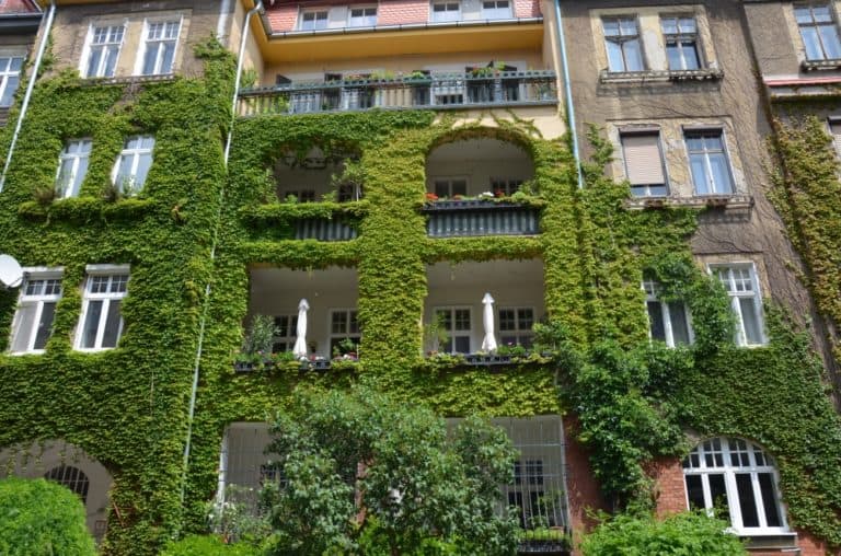 città – casa ricoperta di edera, Mag.2016 (Bratislava)