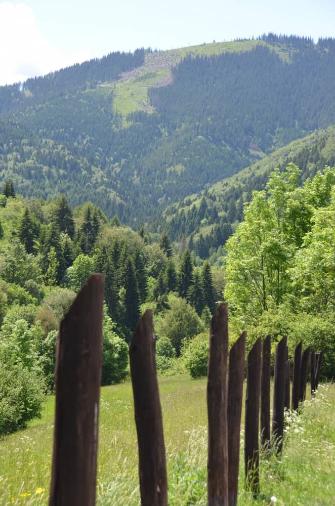 stakes, May2016 (Vlkolínec)