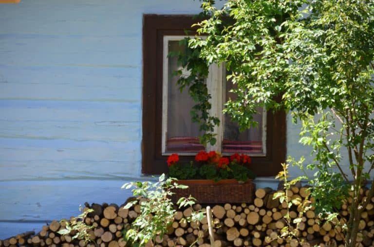timbers, May2016 (Vlkolínec)