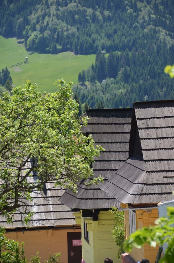 roofs, May2016 (Vlkolínec)