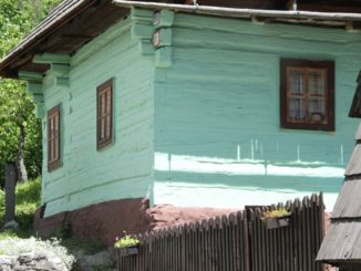 Color menta piperita in Slovacchia a Vlkolinec
