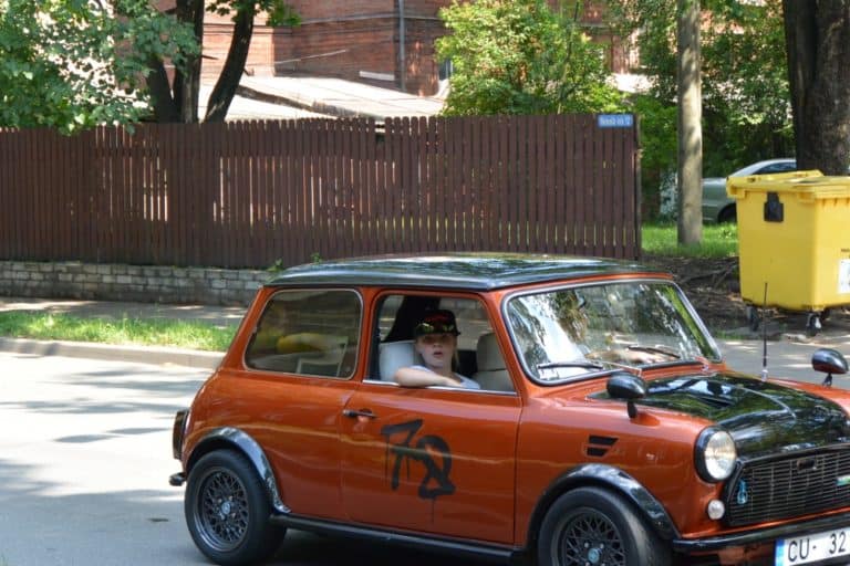 market – Mini, July2016 (Riga)