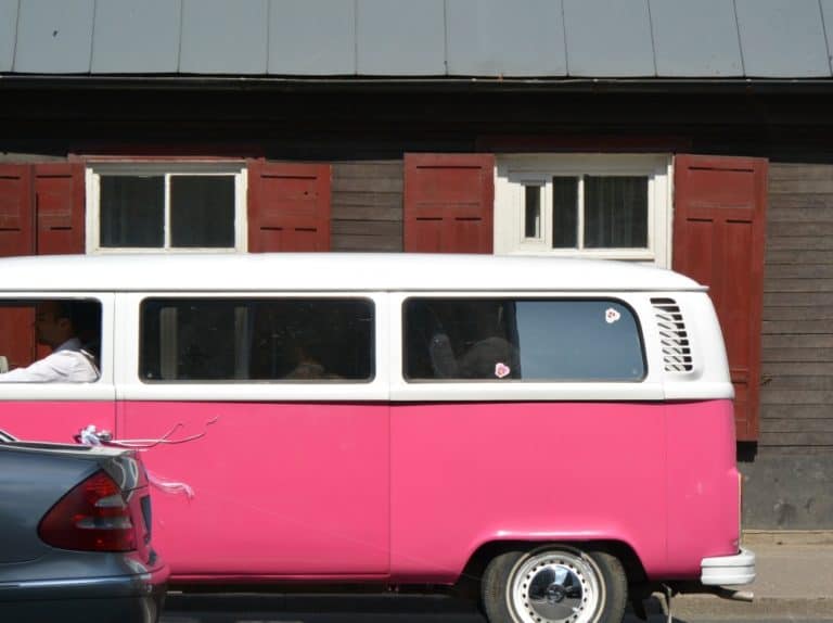 mercato – rosa, Lug.2016 (Riga)