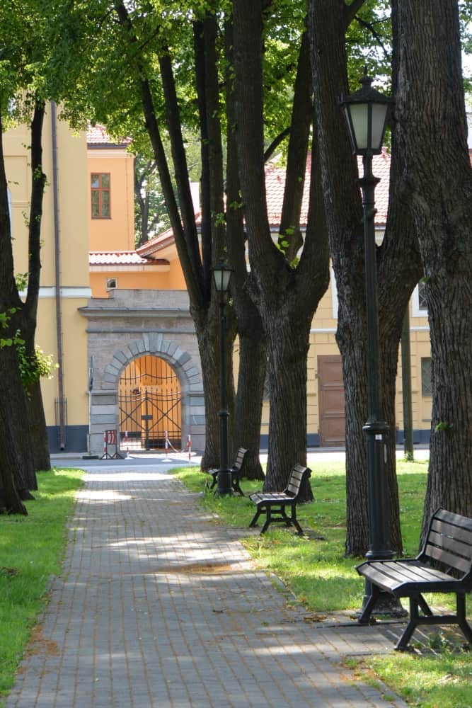 town – trees and benches, July 2016 (Riga)