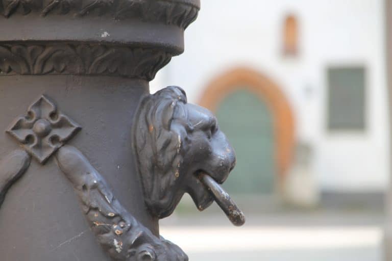 town – lion, July2016 (Riga)