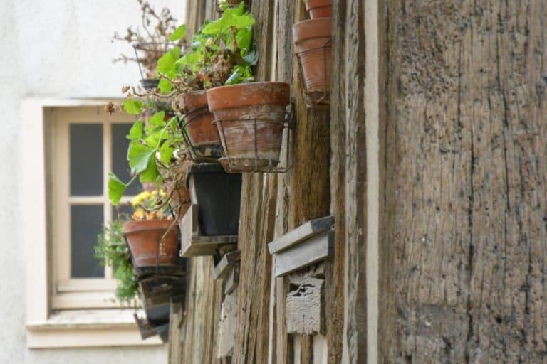 old town – pots and window, Mar.2015 (Chartres)