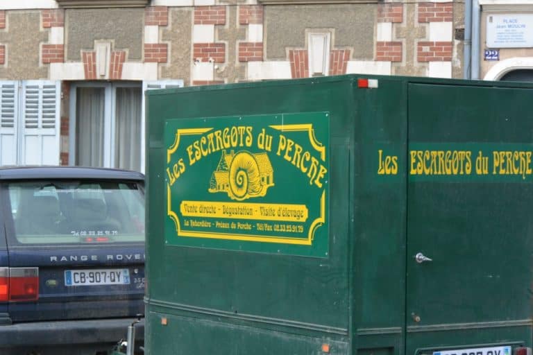 cattedrale – lumaca da trasporto, Mar.2015 (Chartres)