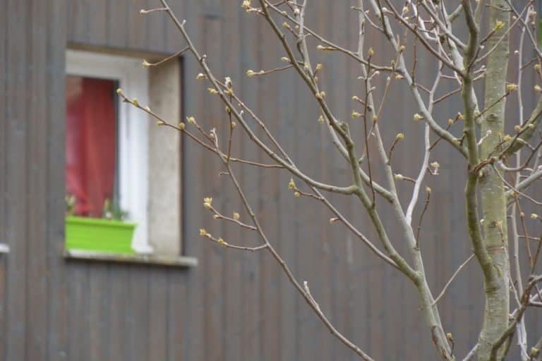 città vecchia – giallo-verde e rosso, Mar.2015 (Chartres)