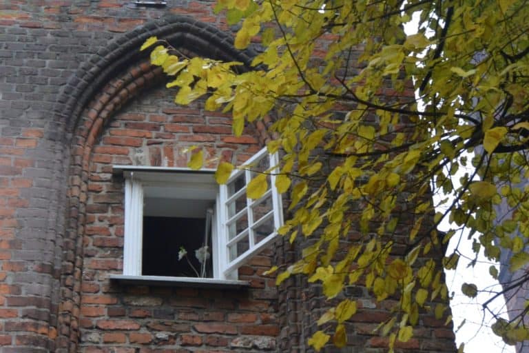 città principale – finestra aperta, Ott.2015 (Danzica)