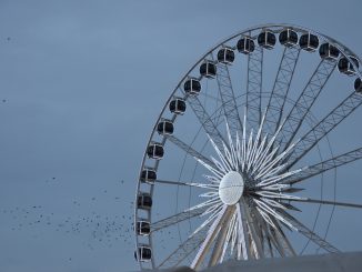 Poland, Gdansk - big wheel and birds, Aug.2016