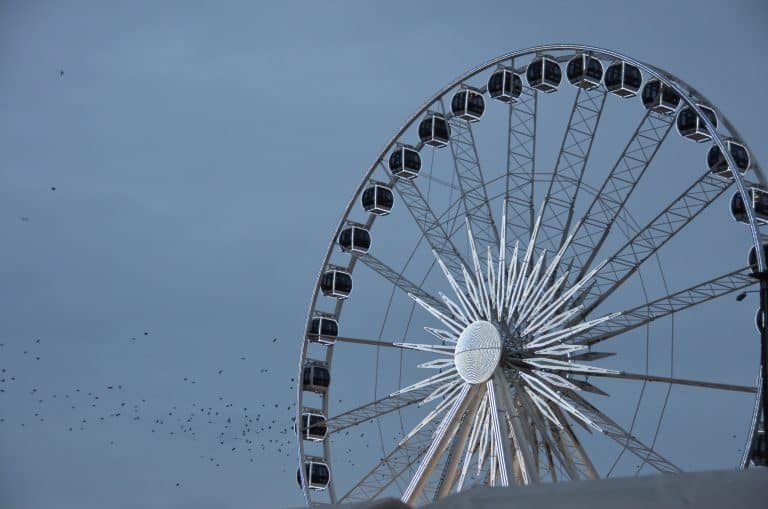 Poland, Gdansk – big wheel and birds, Aug.2016 (Gdansk)