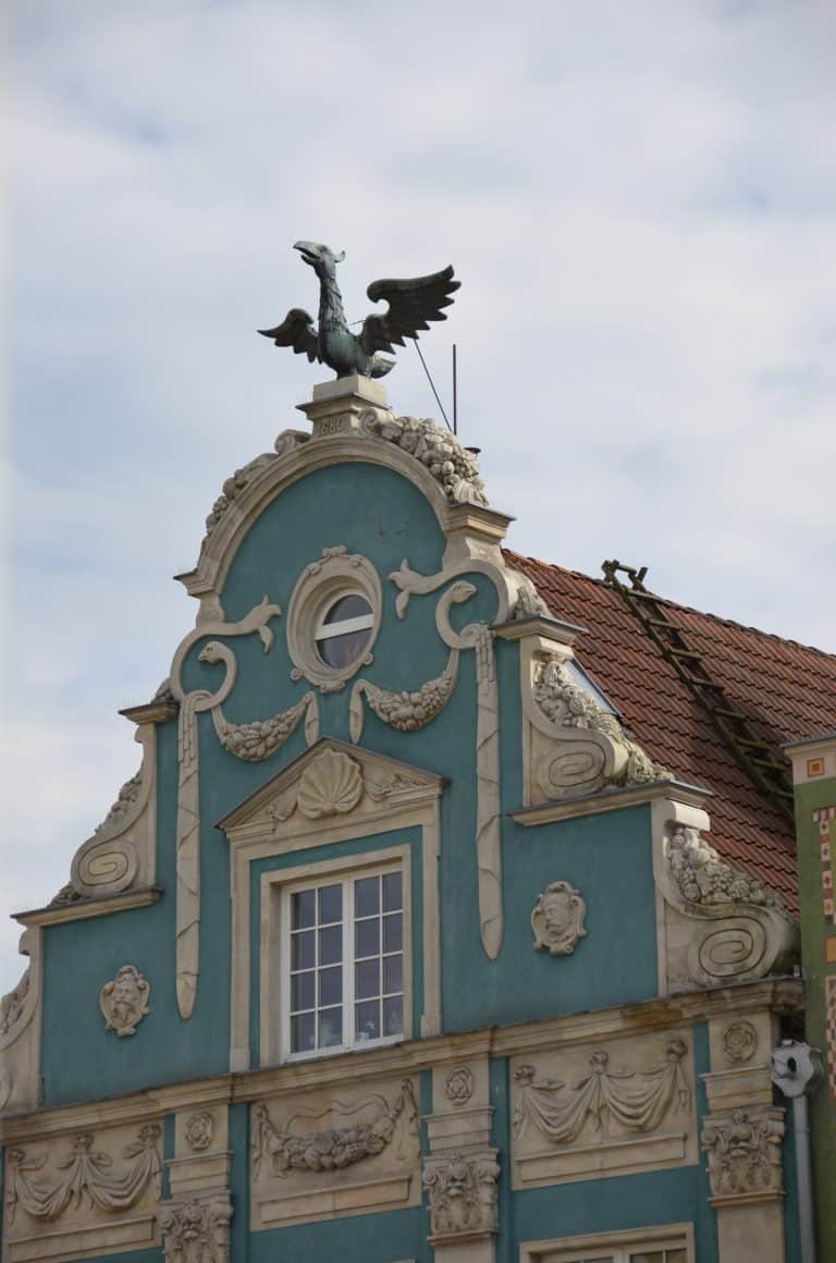 Poland, Gdansk – bird on top, Aug.2016 (Gdansk)