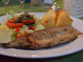 Poland, Gdansk - Red Inn restaurant, dessert, trout dish Aug.2016