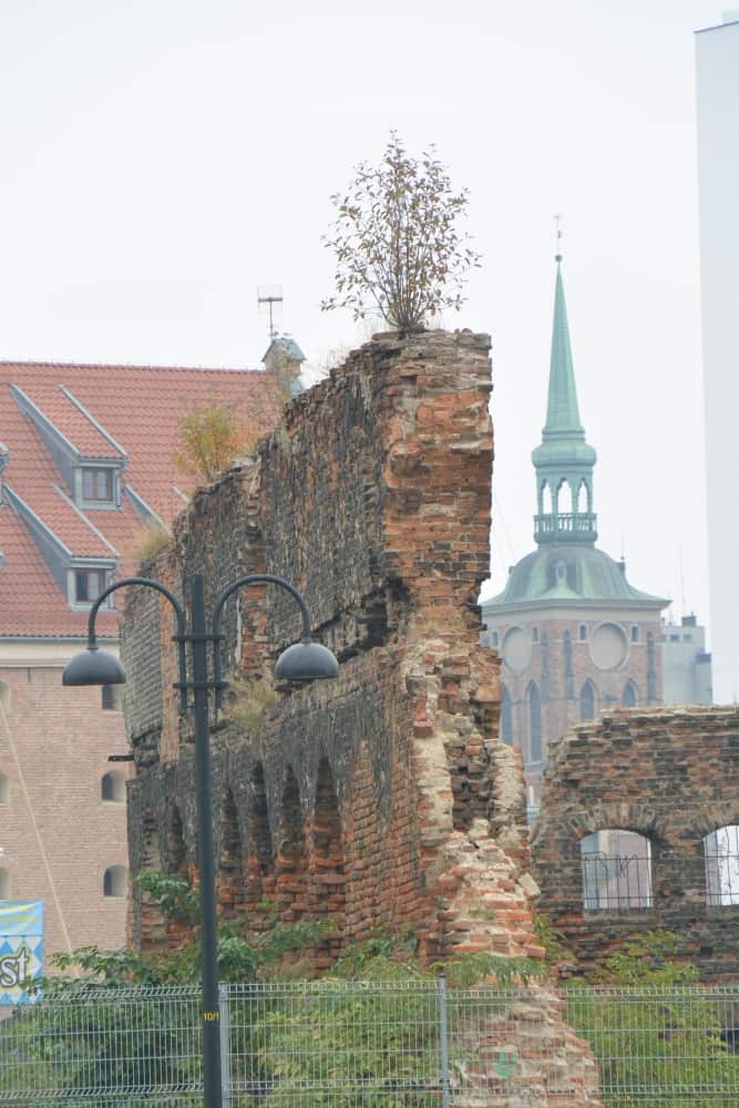 along the river – other side of the river, Oct.2015 (Gdansk)