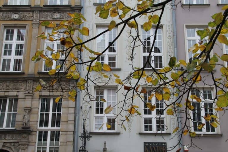 Strada Lunga – autunno, Ott.2015 (Danzica)