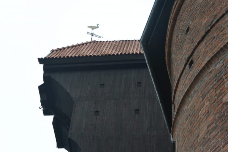 lungo il fiume – gru, Ott.2015 (Danzica)