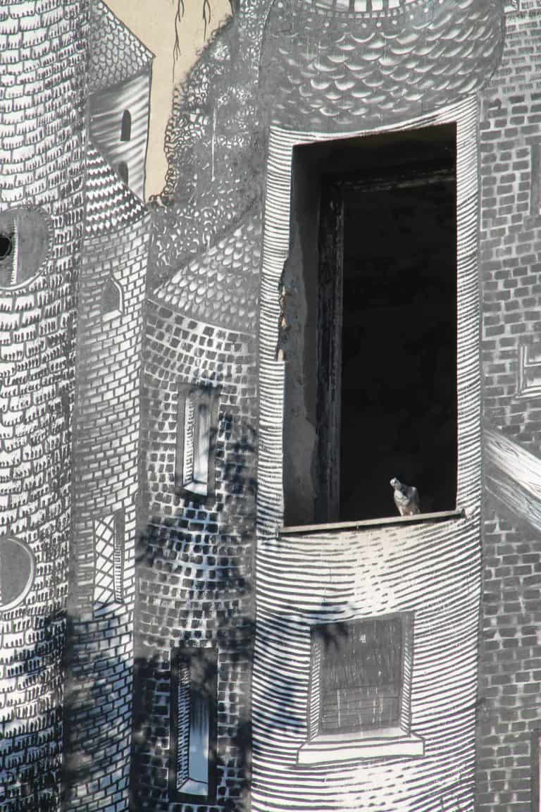 warsaw-55