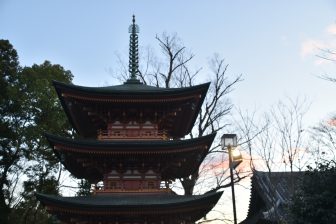 Japan-Chiba-Kashiwa-Tokaiji temple-pagoda