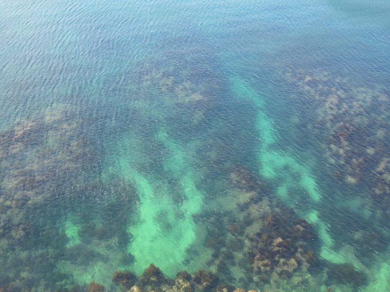 鴨川、ホテル－海の色 2016年9月 (千葉県)