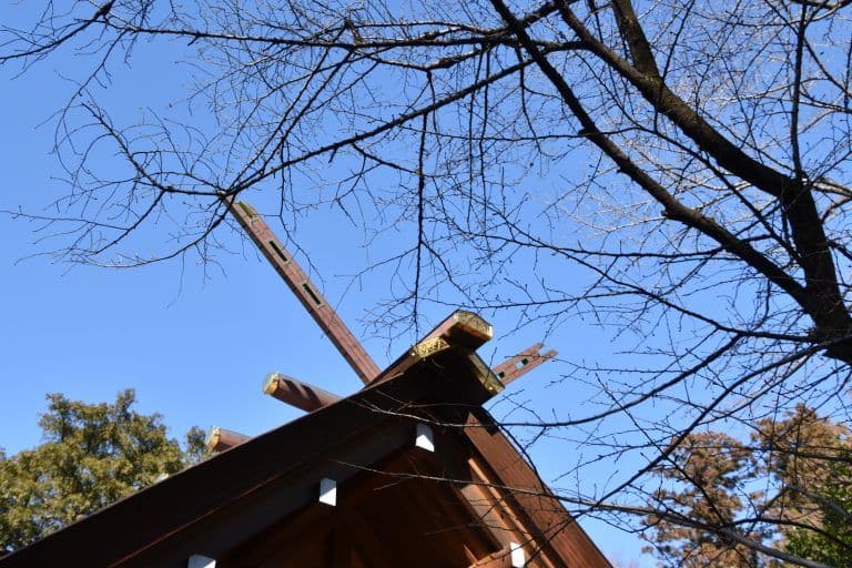 Kashiwa Shimmei-sha – roof top, Jan.2018 (Chiba)