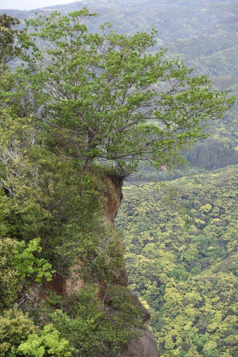 Mount Nokogiri (19) (Chiba)