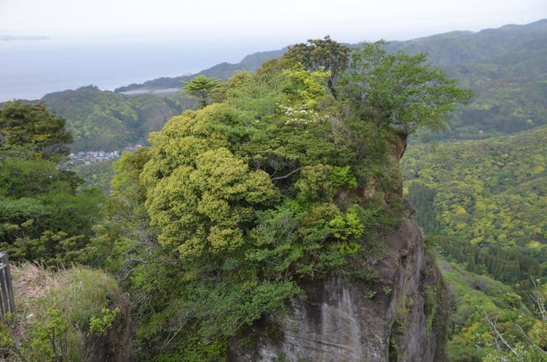 Mount Nokogiri (22) (千葉県)